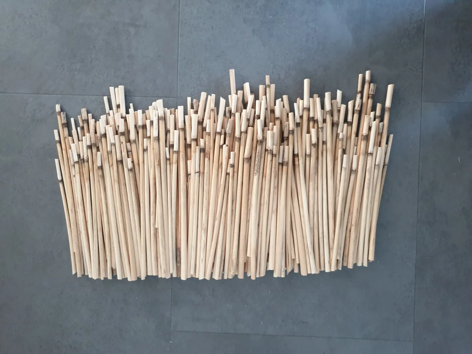 Reeds